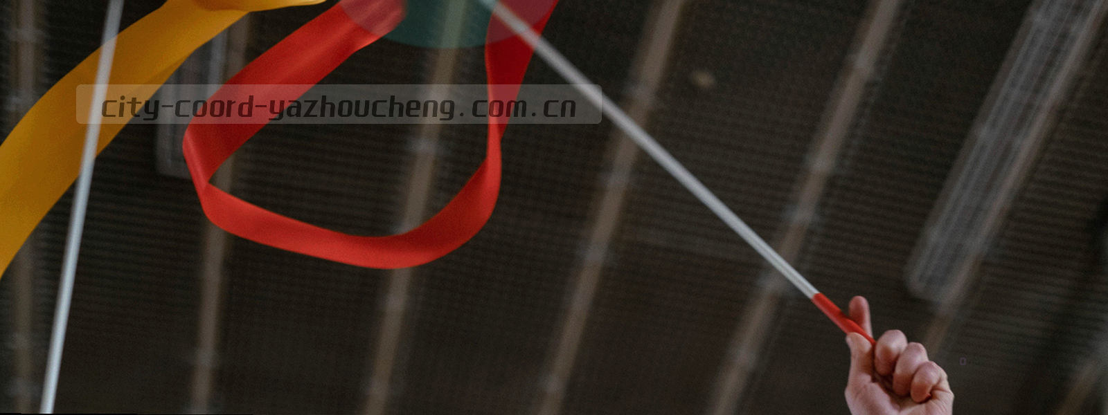 横向刻度轴示意图，多个版本节点沿轴线依次排列，末端刻度处标注 2024 年 6 月
